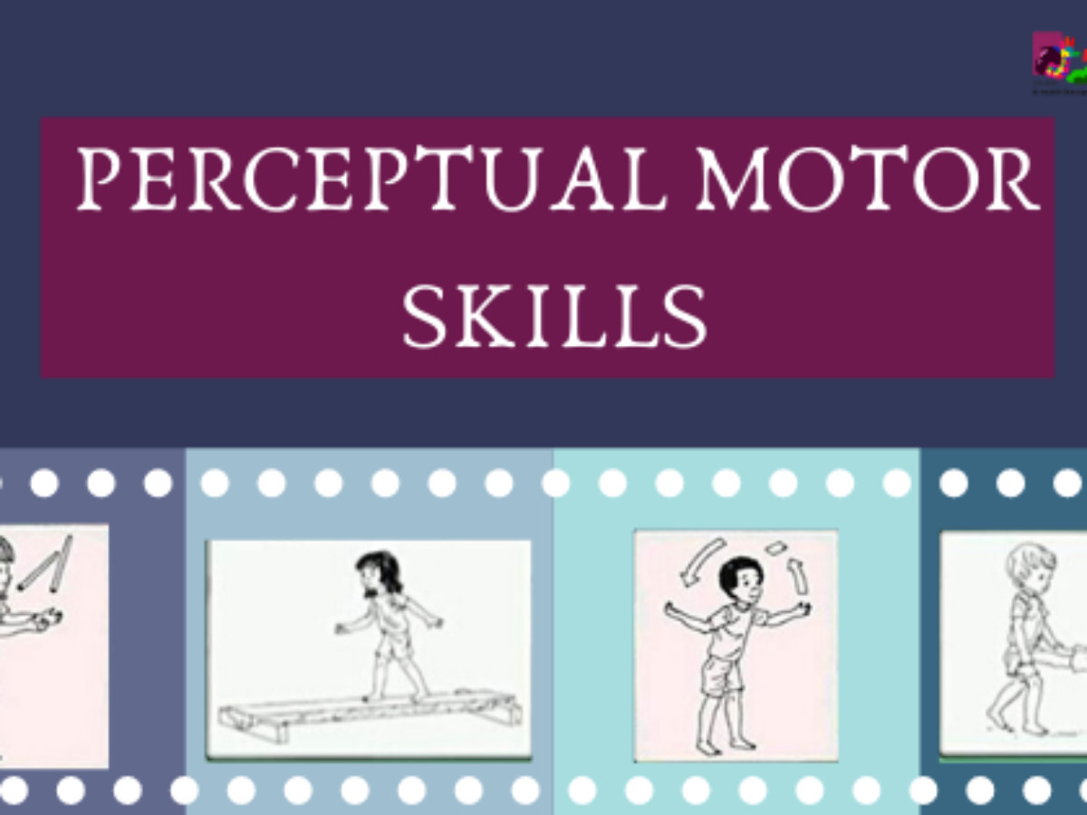 Sensory motor outlet skills examples